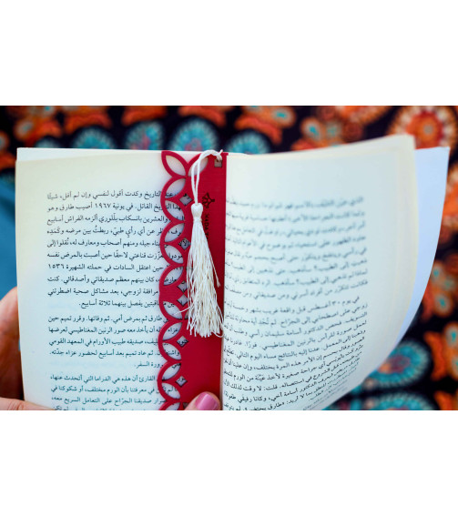 SEEDS Bookmarks